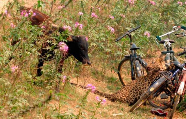 Daily picdump (128 pics)