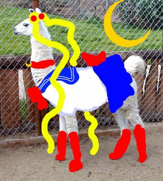 Daily picdump (128 pics)