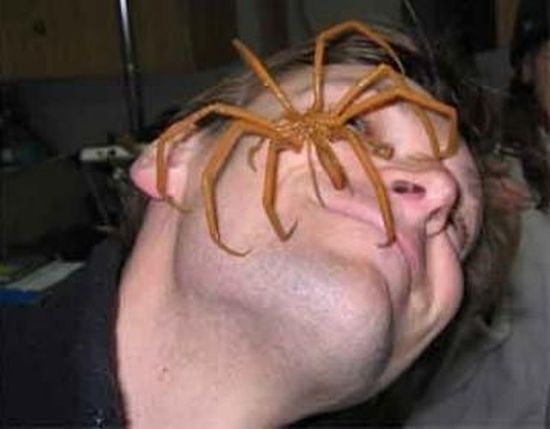 Daily picdump (128 pics)