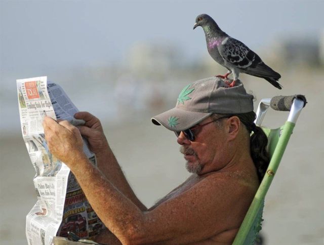 Daily picdump (128 pics)