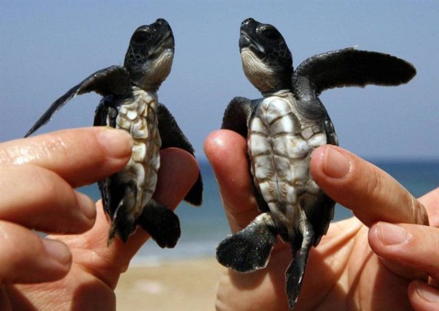 Daily picdump (128 pics)