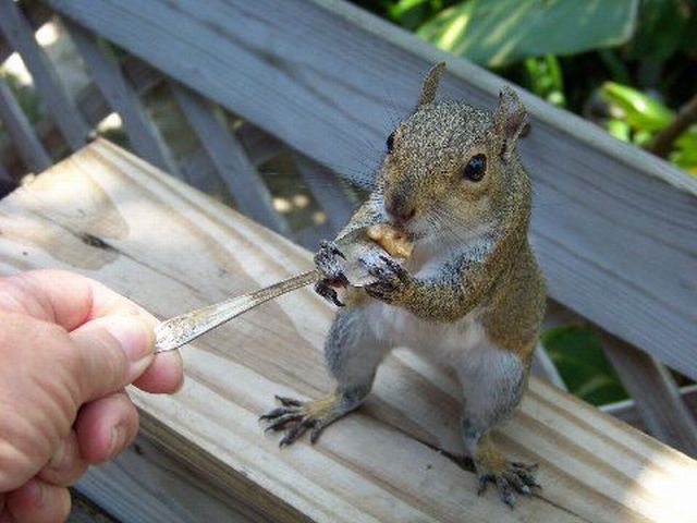 Daily picdump (128 pics)