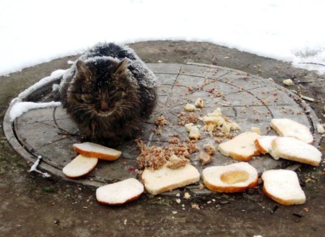 Daily picdump (128 pics)