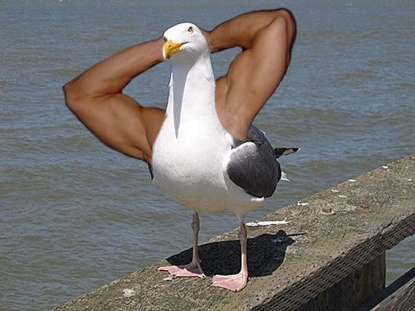 Daily picdump (128 pics)