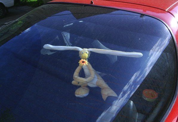 Daily picdump (128 pics)