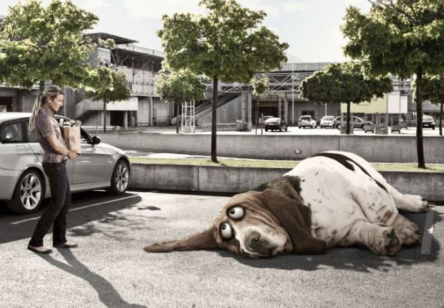 Daily picdump (128 pics)