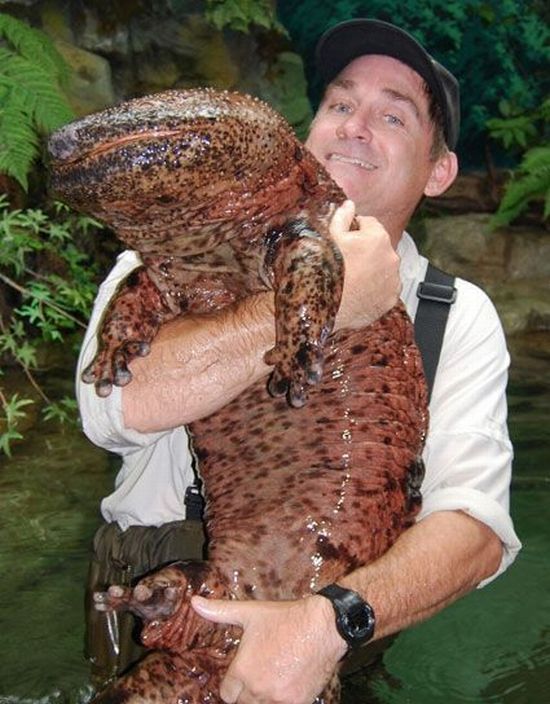 Daily picdump (128 pics)