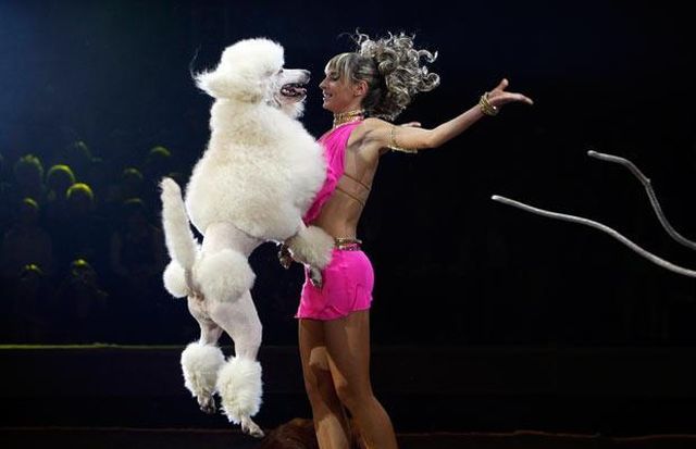 Daily picdump (128 pics)