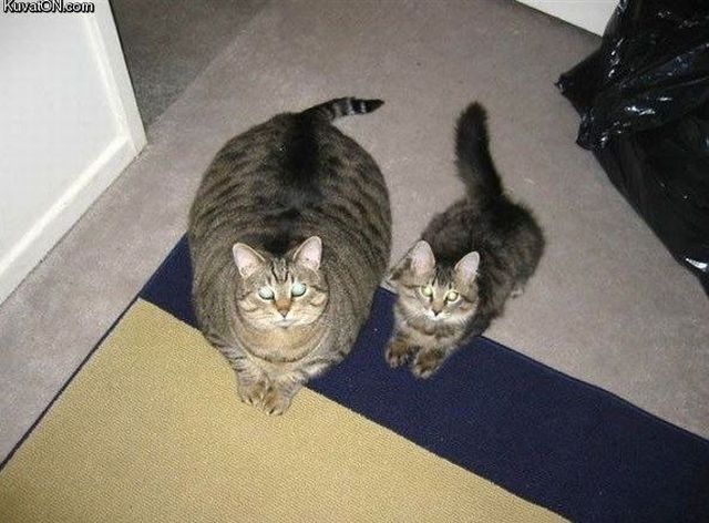 Daily picdump (128 pics)