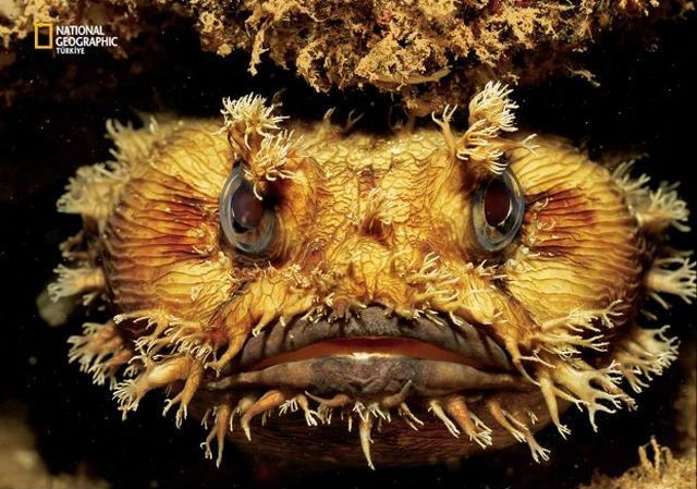 Wildlife exhibition: Thrive! (53 pics)