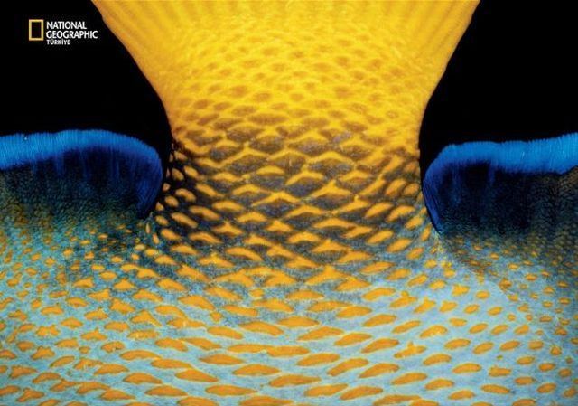 Wildlife exhibition: Thrive! (53 pics)
