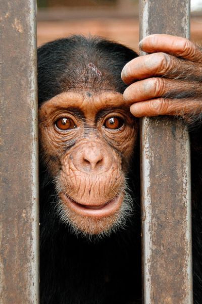 Wildlife exhibition: Thrive! (53 pics)