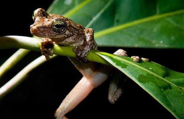 Wildlife exhibition: Thrive! (53 pics)