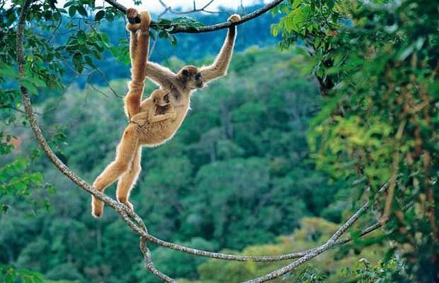 Wildlife exhibition: Thrive! (53 pics)