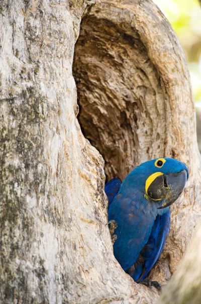 Wildlife exhibition: Thrive! (53 pics)