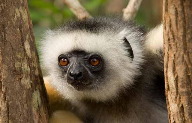 Wildlife exhibition: Thrive! (53 pics)