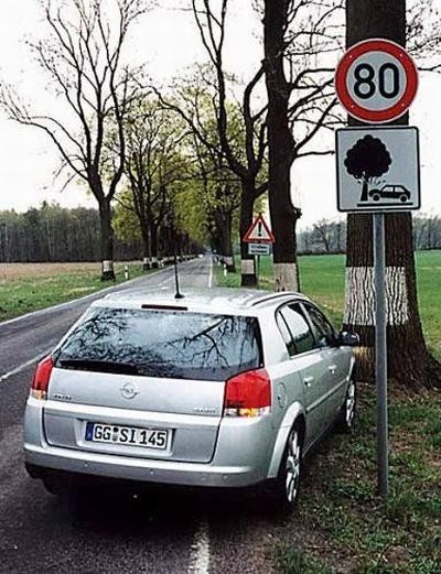 Daily picdump (105 pics)