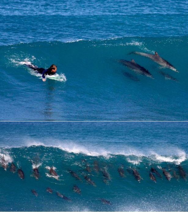 Daily picdump (105 pics)