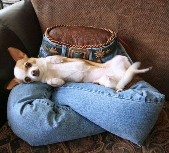 Daily picdump (105 pics)