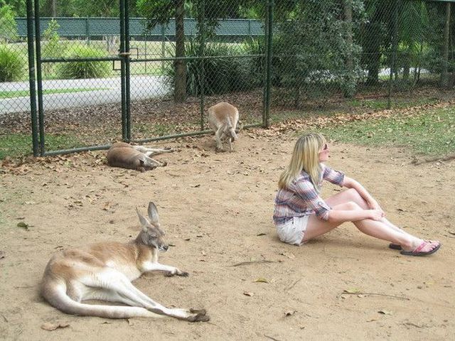 Daily picdump (144 pics)