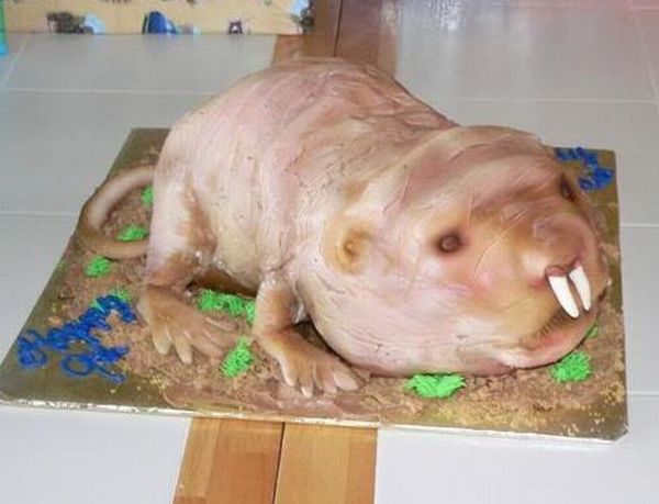 Daily picdump (144 pics)
