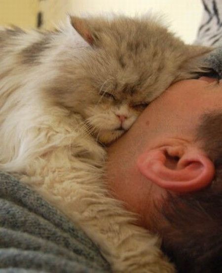 Daily picdump (144 pics)