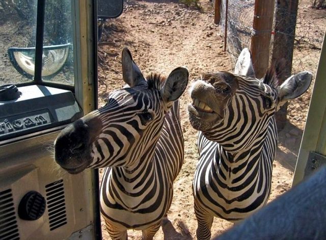 Daily picdump (144 pics)