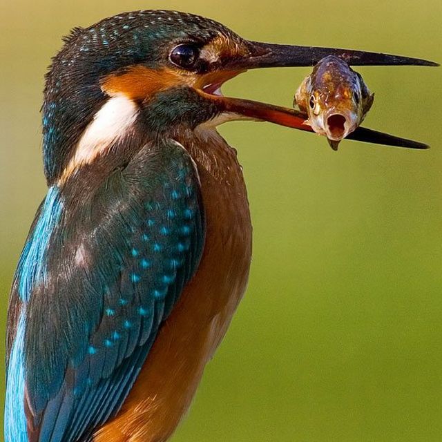 Daily picdump (144 pics)