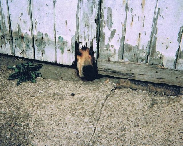 Daily picdump (144 pics)
