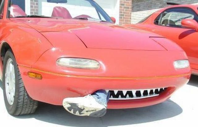 Daily picdump (144 pics)
