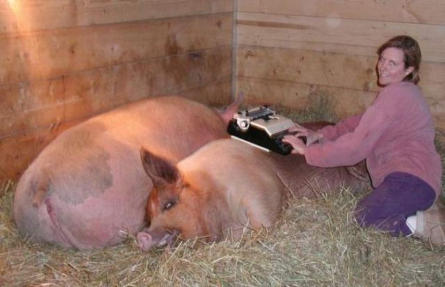 Daily picdump (144 pics)