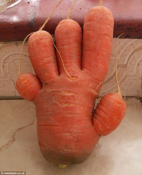 Daily picdump (144 pics)