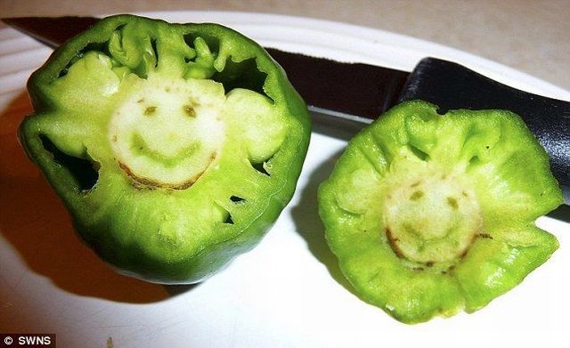 Daily picdump (144 pics)