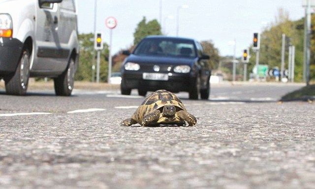 Daily picdump (144 pics)