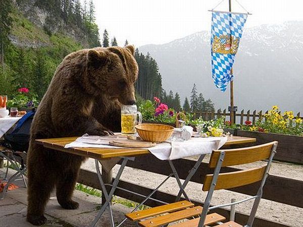 Daily picdump (144 pics)