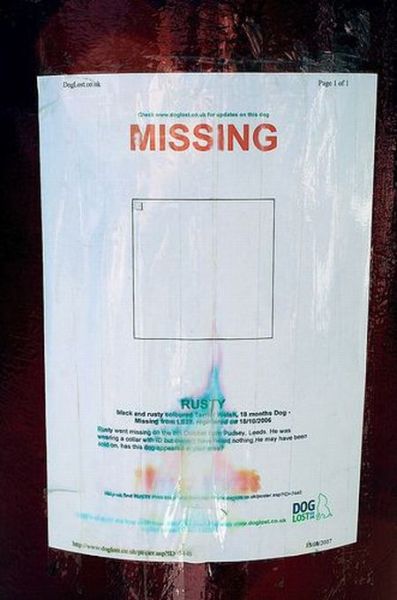 Hilarious lost and found signs (25 pics)