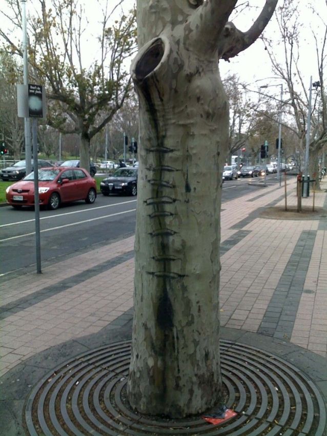 Daily picdump (133 pics)
