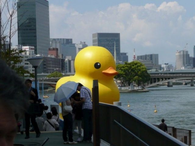 Daily picdump (133 pics)
