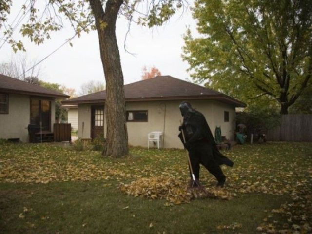 Daily picdump (133 pics)