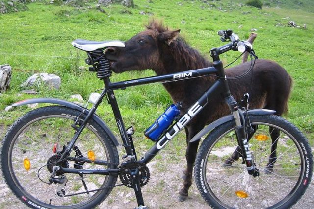 Daily picdump (133 pics)