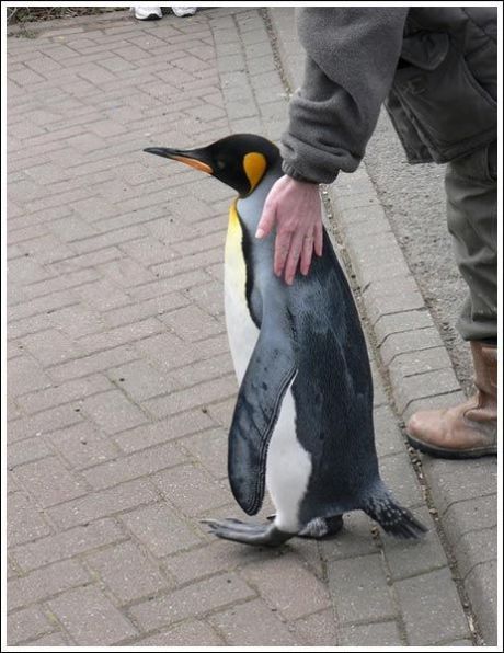 Daily picdump (133 pics)