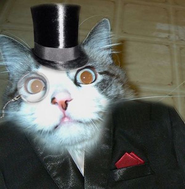 Daily picdump (133 pics)