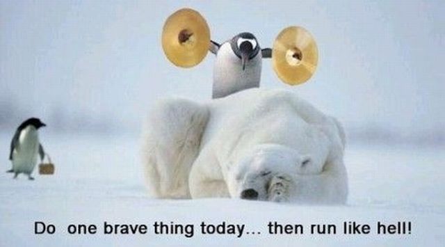 Daily picdump (133 pics)