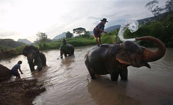 Daily picdump (133 pics)