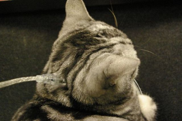Daily picdump (133 pics)