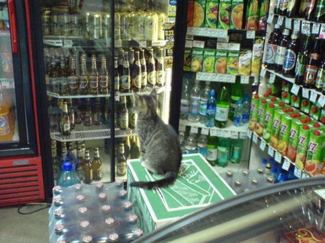Daily picdump (133 pics)