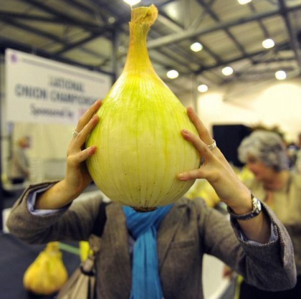 Daily picdump (133 pics)