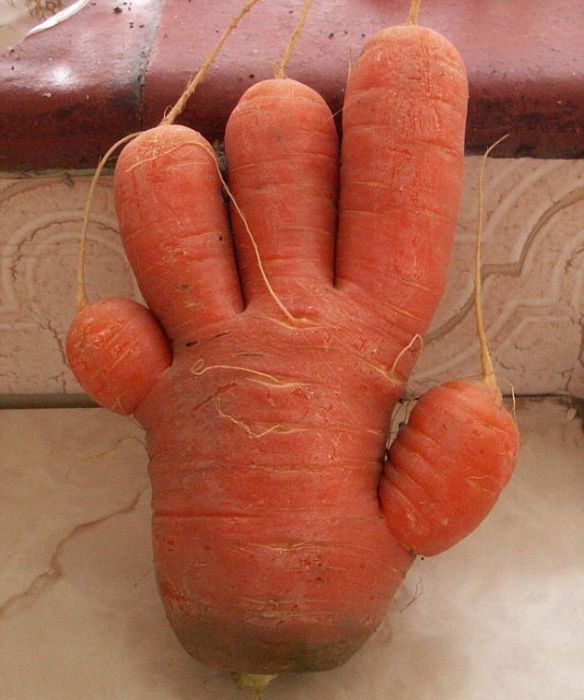 Daily picdump (133 pics)