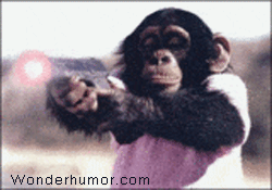Animal animated gifs (27 gifs)