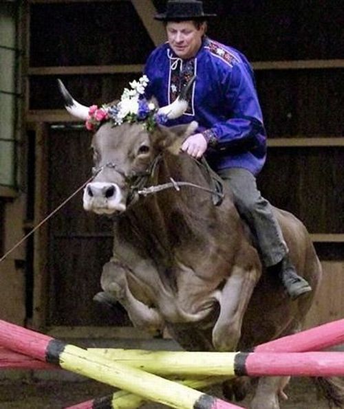 Daily picdump (126 pics)